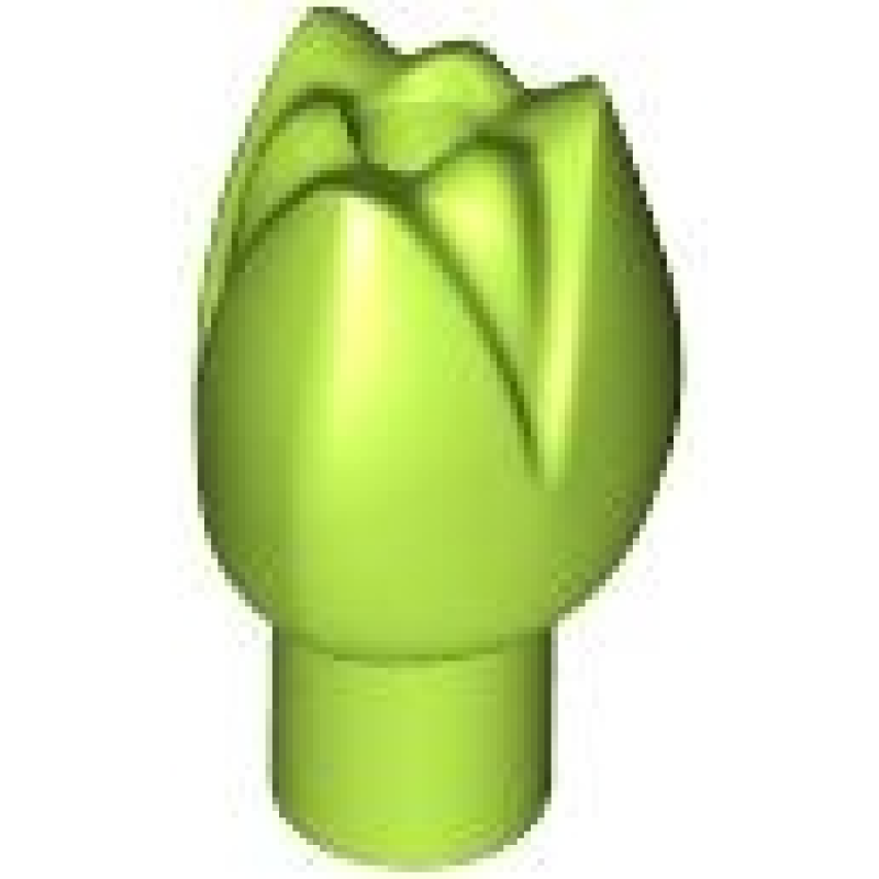 Plant Bloem Tulp Lime