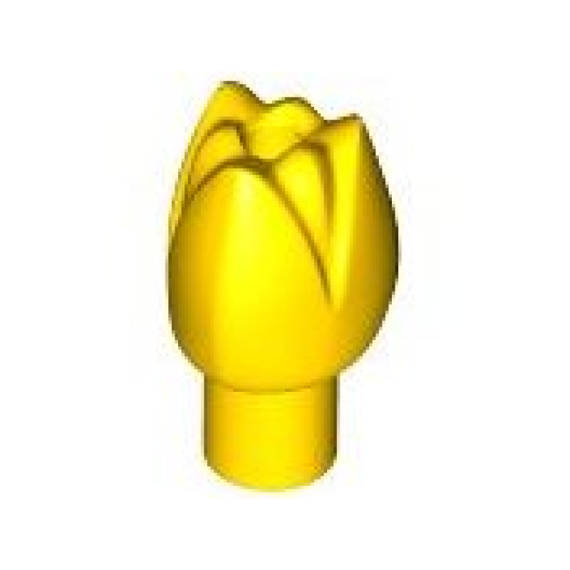 Plant Bloem Tulp Yellow