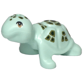 Schildpad Light Aqua