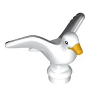 Vogel, Zeemeeuw White