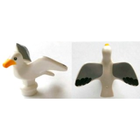 Vogel, Zeemeeuw White