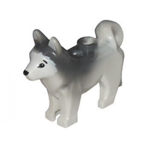 Hond husky White