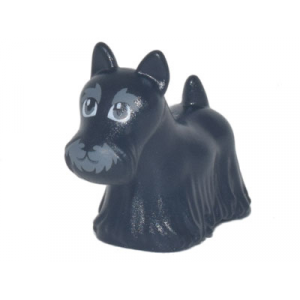 Hond, Terriër Schots (Scottie) Black