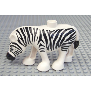 Zebra White