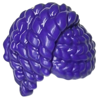 Haar Gedraaid en Gevlecht Dark Purple