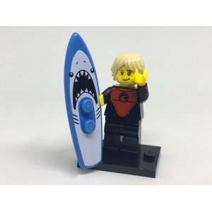 Pro Surfer, Series 17 (Complete Set with Stand and Accessories)