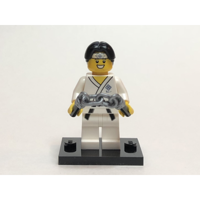 Martial Arts Boy, Series 20 (Complete Set with Stand and Accessories)