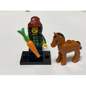 Horse and Groom