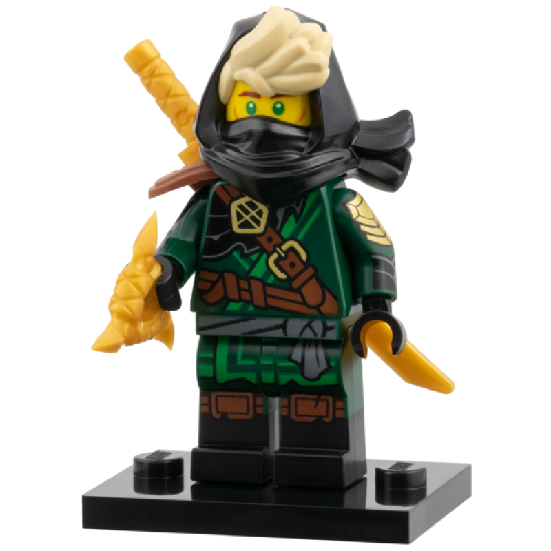 Mysterious Ronin