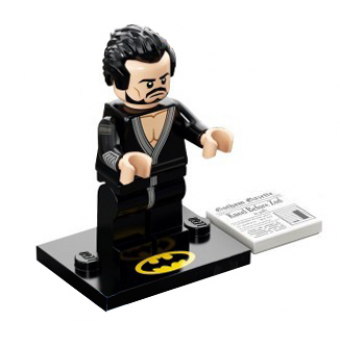 General Zod, The LEGO Batman Movie, Series 2 (Complete Set with Stand and Accessories)