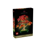 Japanse esdoorn bonsaiboompje