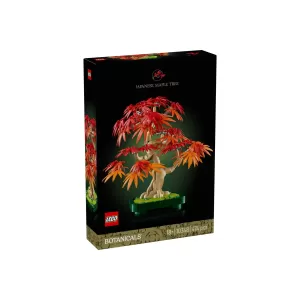 Japanse esdoorn bonsaiboompje
