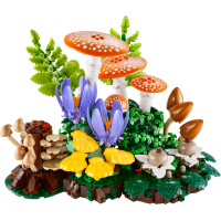 Woodland Mushrooms