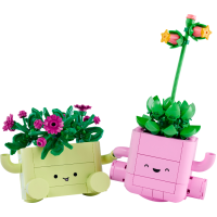  Rocking Plants