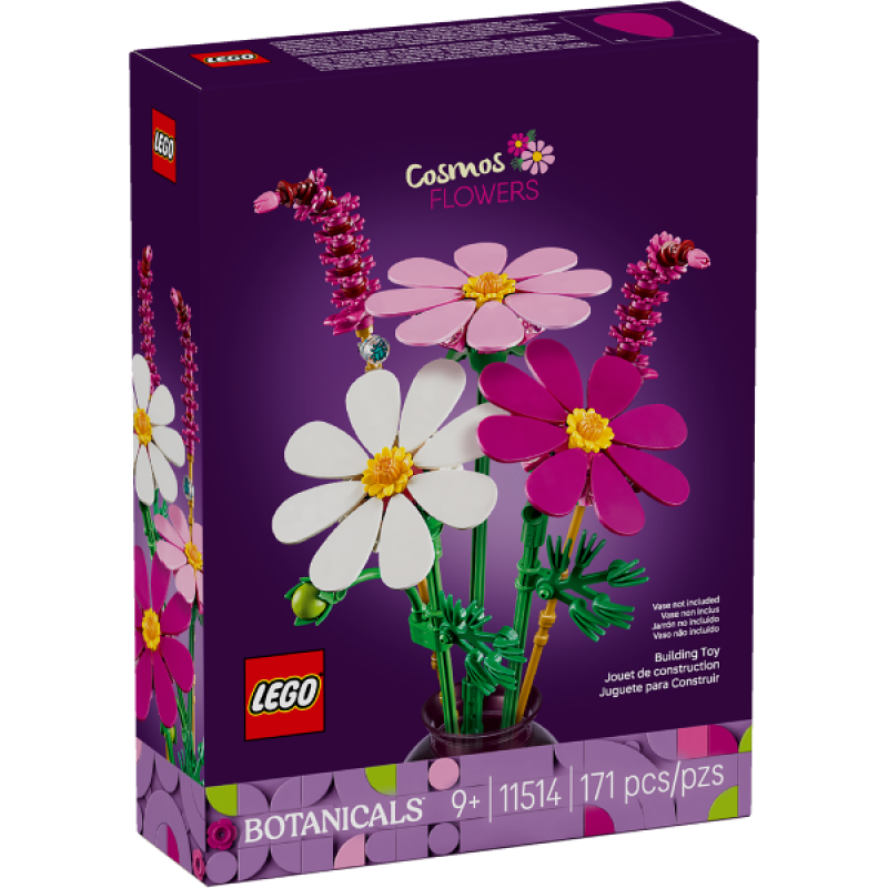  Cosmos Flowers