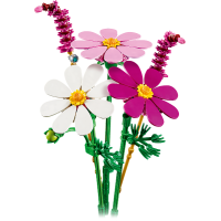  Cosmos Flowers