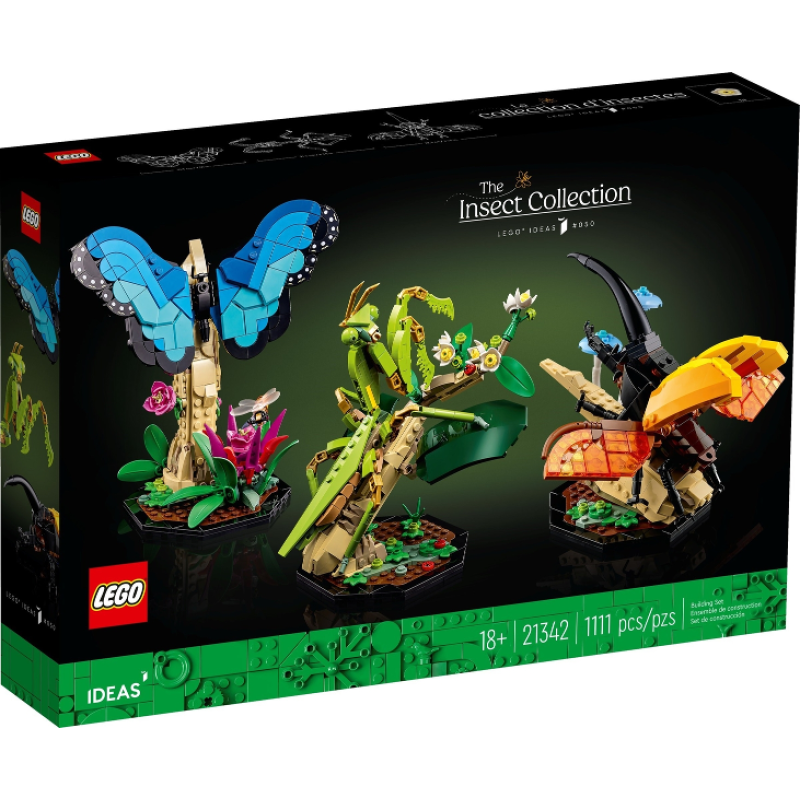  The Insect Collection