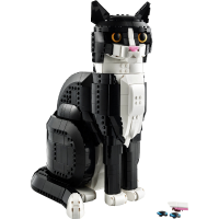  Tuxedo Cat