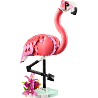  Pink Flamingo