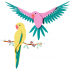 The Fauna Collection - Macaw Parrots