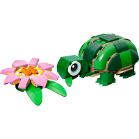  Turtle with a Water Lily