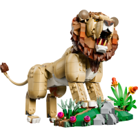 Majestic Lion 