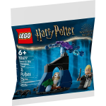  Draco in the Forbidden Forest Polybag