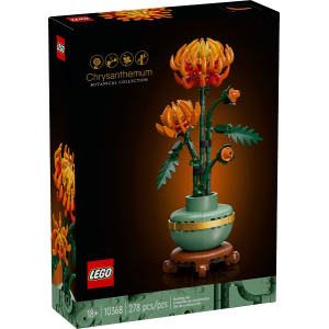 Chrysanthemum